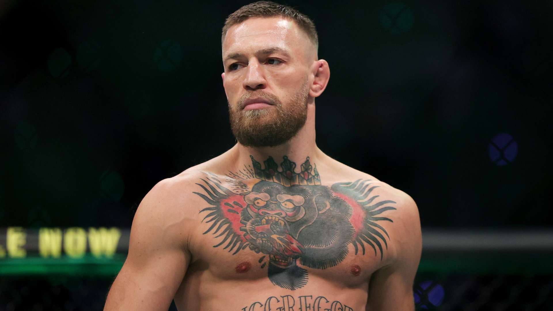 大历史与文 大历史与文